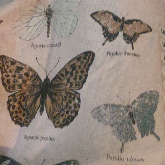*SOLD* BOGO NWT CACTUS & PEARL Butterfly Graphic Crewneck Tee - Picture 4 of 7
